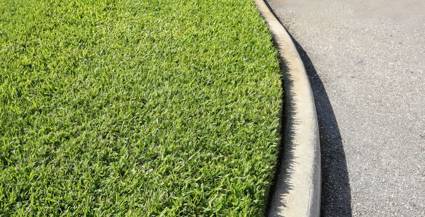 Cost of Street Curb Repair in Blue Springs